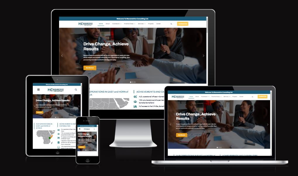 MARAMETRICS CONSULTING